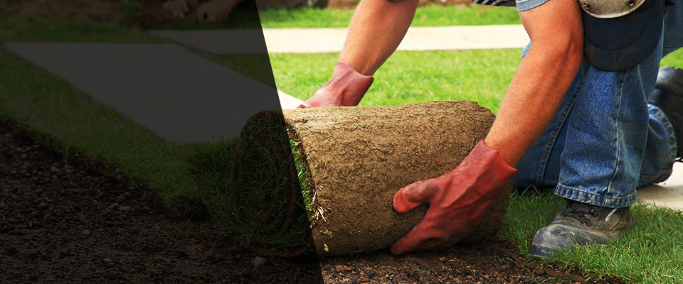 Scotts Valley Landscapers